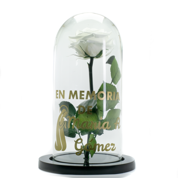 Rosa Blanca preservada personalizada 1