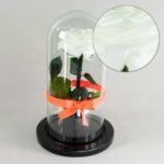 Rosa Preservada Blanca Condolencias